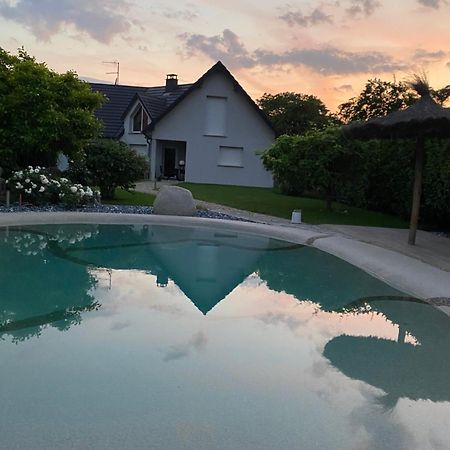 Grande Maison Au Calme Ensisheim Eksteriør billede