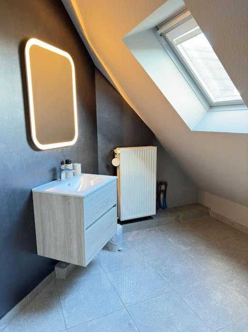 Grande Maison Au Calme Ensisheim Eksteriør billede