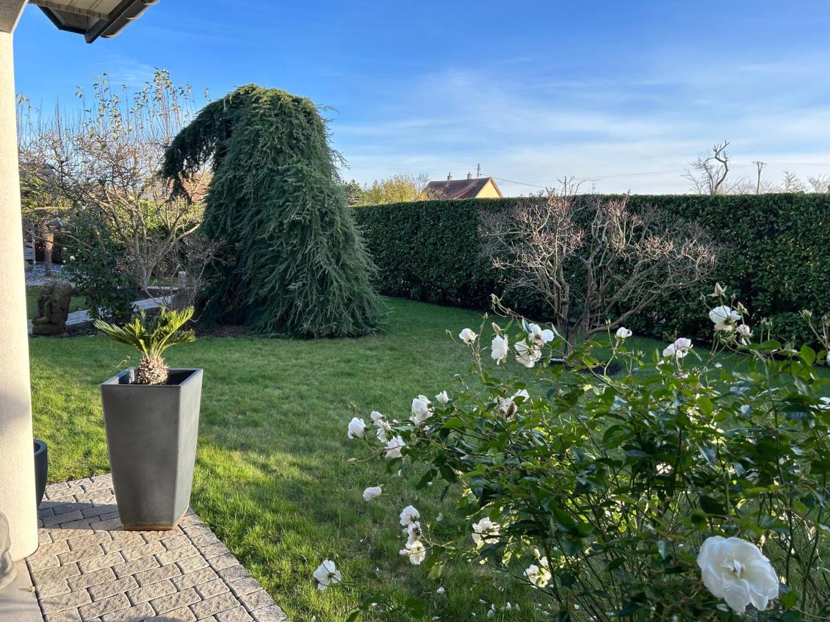 Grande Maison Au Calme Ensisheim Eksteriør billede